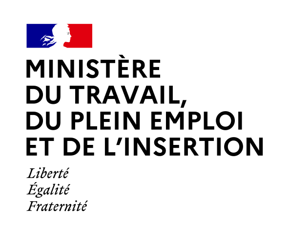 Ministère du travail du plein emploi et de l'insertion